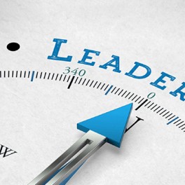 Leadership: external context and culture