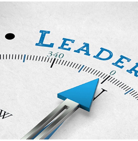 Leadership: external context and culture